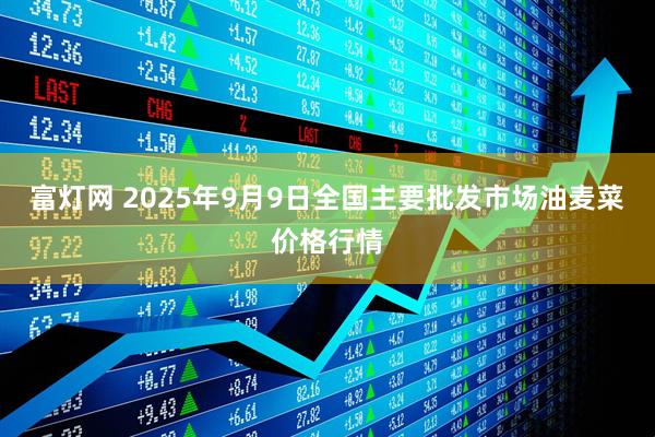 富灯网 2025年9月9日全国主要批发市场油麦菜价格行情