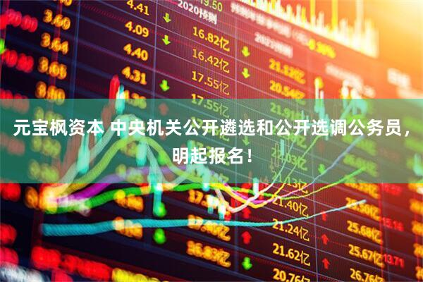 元宝枫资本 中央机关公开遴选和公开选调公务员，明起报名！